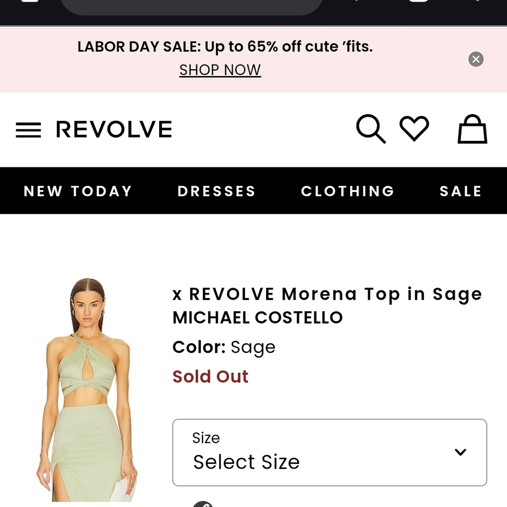 Coachella Outfit - REVOLVE Light Green Top